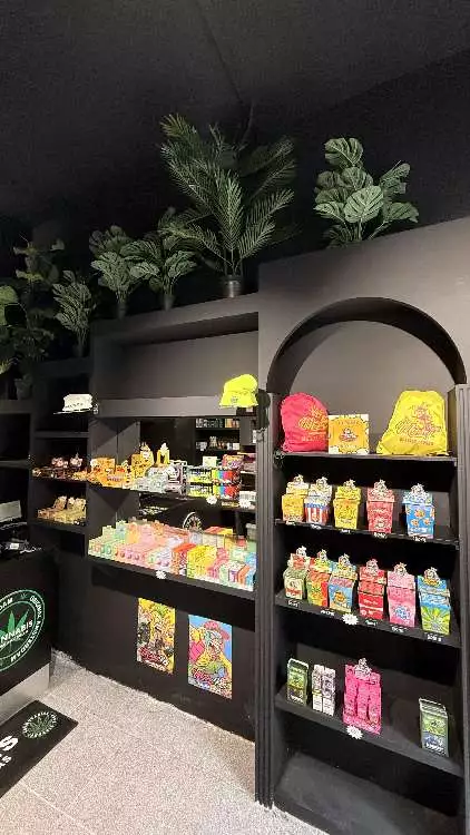 CANNABIS SHOP CANNOVARIAS pic2