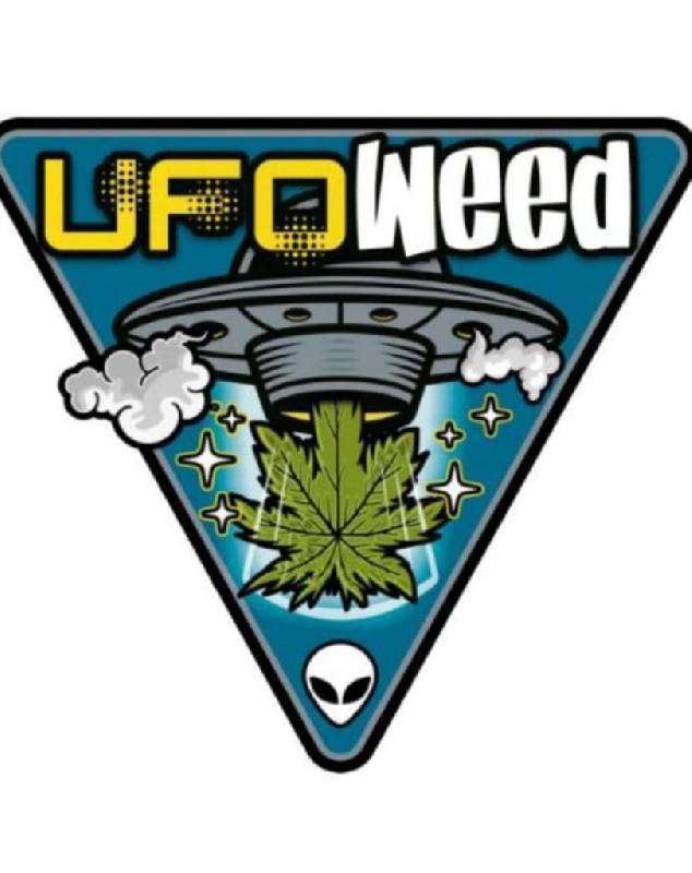 Ufoweed Club Cannabis