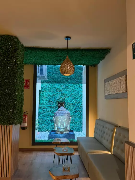 Opus Social Club pic1