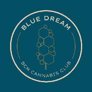 blue dream weed club