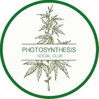 CSC Photosynthesis