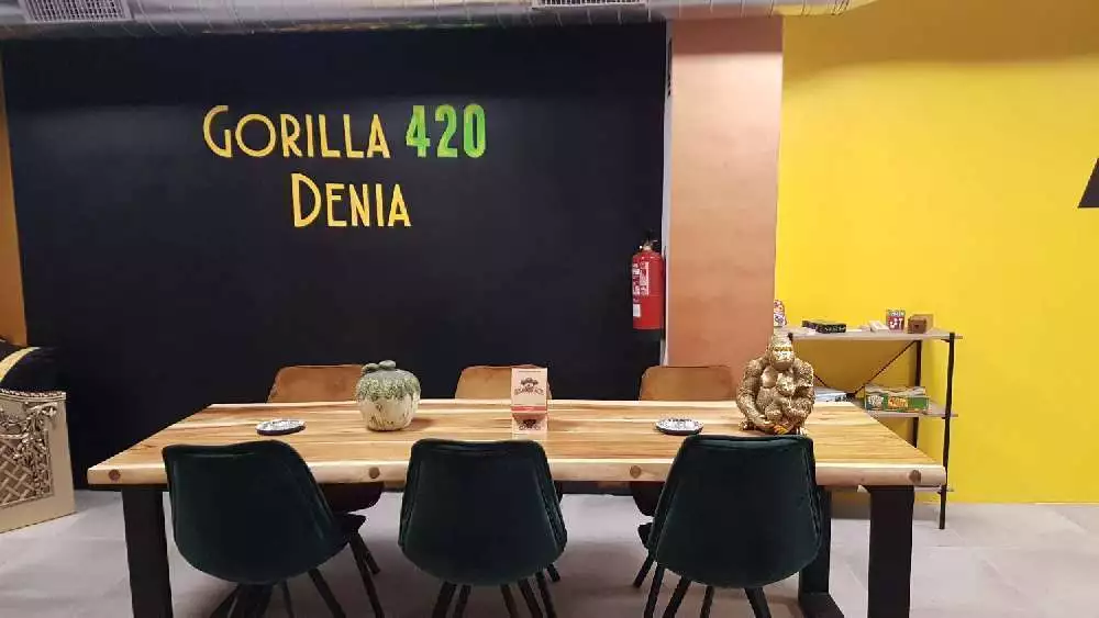 Gorilla420Denia pic2