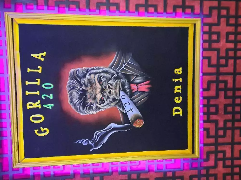 Gorilla420Denia pic6