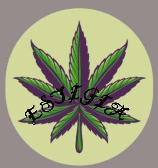 Asociacion Estigia Club Cannabis