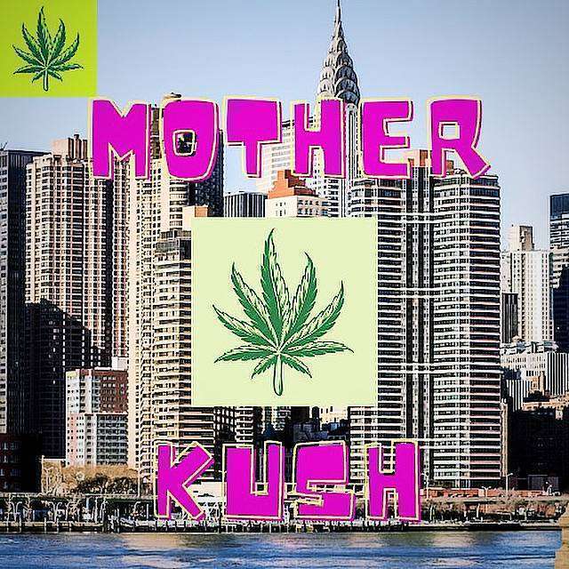 ASOCIACIÓN MOTHER KUSH BILBAO Club Cannabis