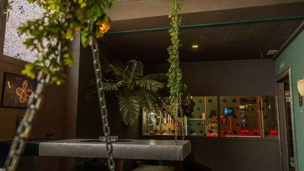IBZ 420 Club pic1