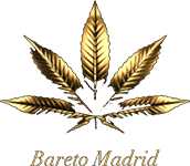 Bareto Madrid