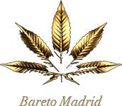 Bareto Madrid Cannabis Social Club