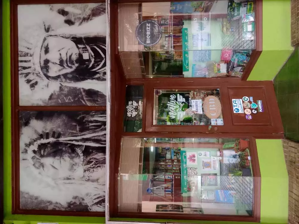 NATIVE GROWSHOP pic1