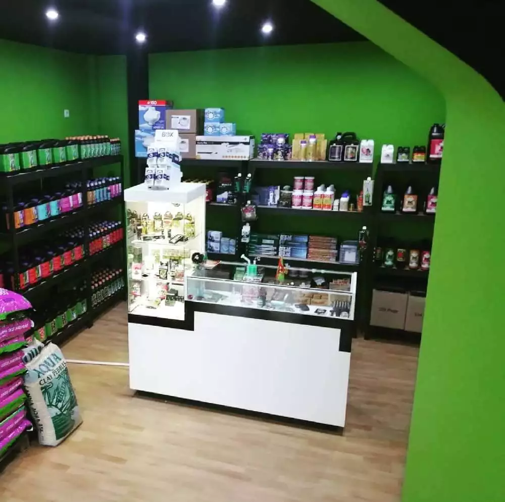 Blossom Grow Shop pic1