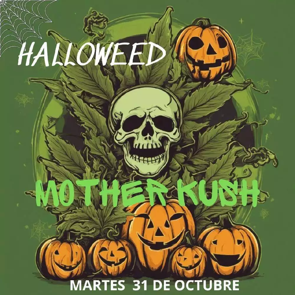 MOTHER KUSH BILBAO pic5