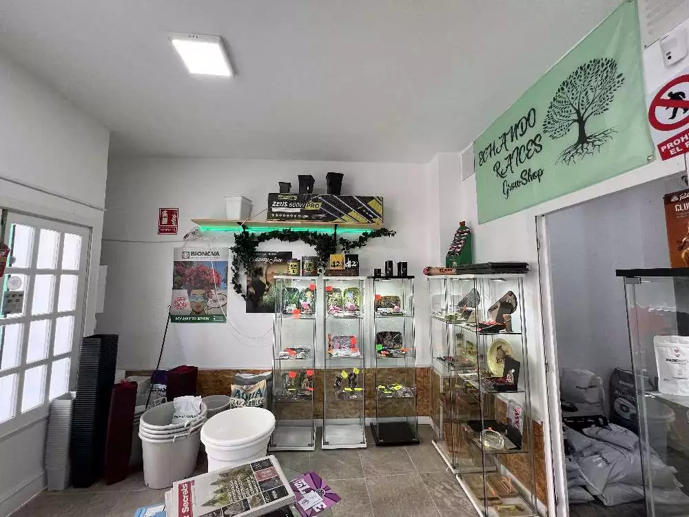 ECHANDO RACIES GROWSHOP pic2