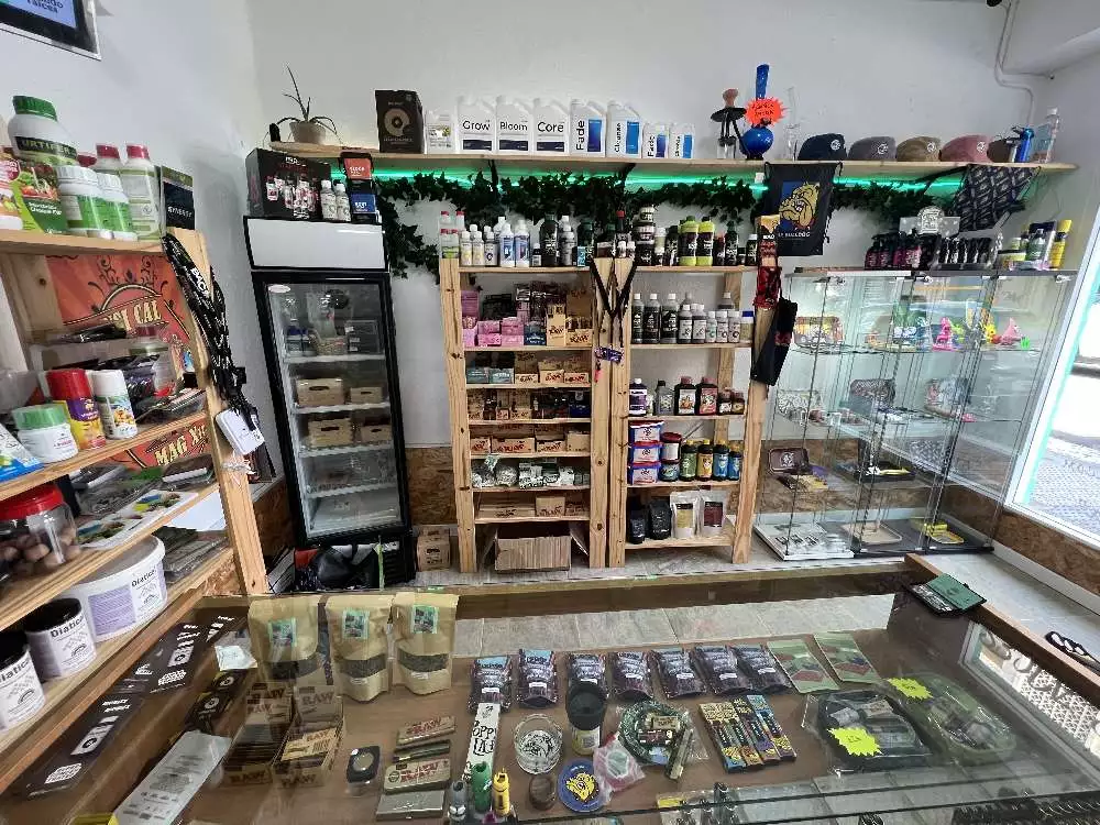 ECHANDO RACIES GROWSHOP pic4
