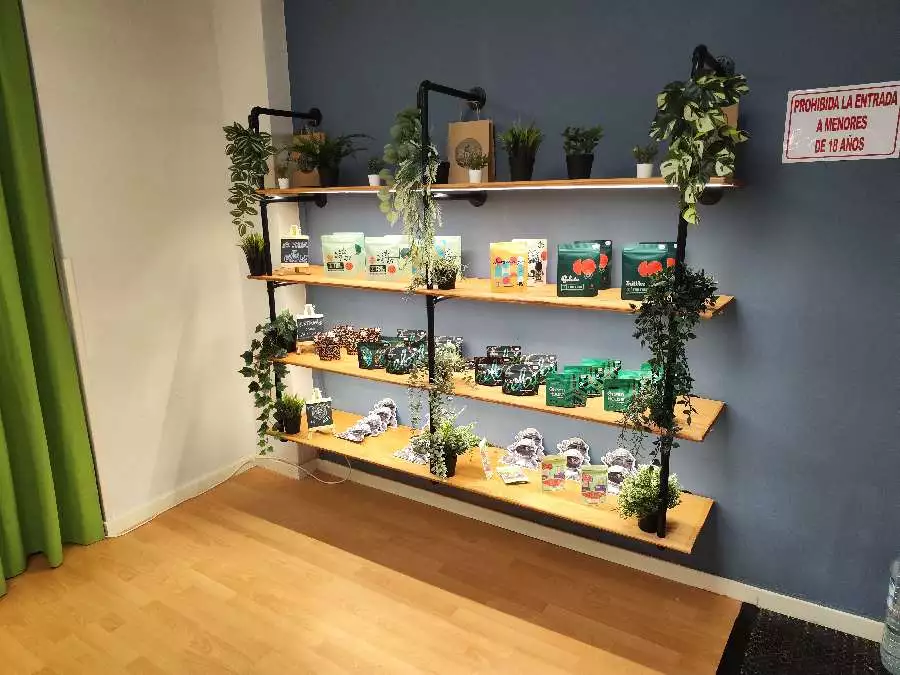 Paradise CBD pic3