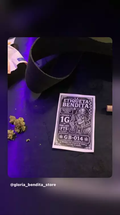 Gloria Bendita CBD pic6
